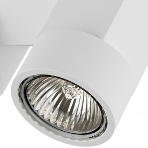 Светильник на штанге Lightstar Illumo X2 051036 в Новоуральске - novouralsk.mebel24.online | фото 2