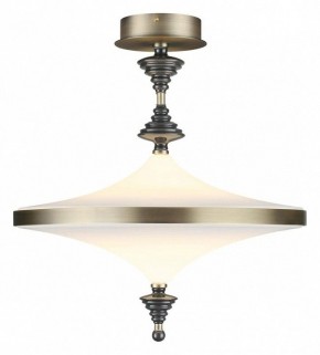 Светильник на штанге Odeon Light Ula 5404/43CL в Новоуральске - novouralsk.mebel24.online | фото 2