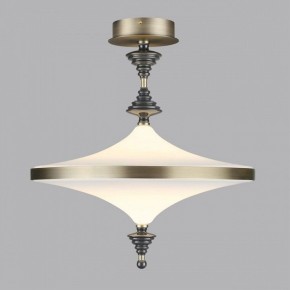 Светильник на штанге Odeon Light Ula 5404/43CL в Новоуральске - novouralsk.mebel24.online | фото 3