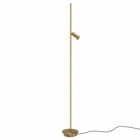 Торшер Maytoni Thin MOD395FL-L28BS3K в Новоуральске - novouralsk.mebel24.online | фото