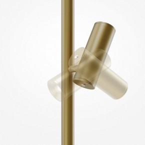 Торшер Maytoni Thin MOD395FL-L28BS3K в Новоуральске - novouralsk.mebel24.online | фото 6