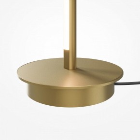 Торшер Maytoni Thin MOD395FL-L28BS3K в Новоуральске - novouralsk.mebel24.online | фото 7