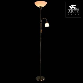 Торшер с подсветкой Arte Lamp Duetto A9569PN-2AB в Новоуральске - novouralsk.mebel24.online | фото 3