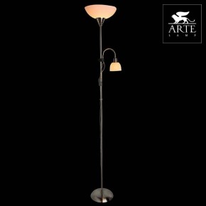 Торшер с подсветкой Arte Lamp Duetto A9569PN-2SS в Новоуральске - novouralsk.mebel24.online | фото 3