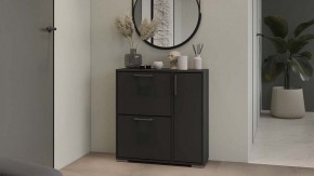 Тумбочка для обуви Тип 15 в Новоуральске - novouralsk.mebel24.online | фото 5