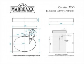 Умывальник над стиральной машиной (600*545*80) Смайл V55D1 (белый) с кронштейном без сифона (V55D1) в Новоуральске - novouralsk.mebel24.online | фото 2